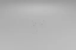 Black and white photograph of a group of birds flying in the sky