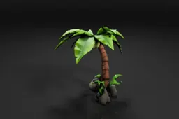 Small palm tree