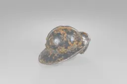 Helmet