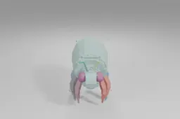 Beetle