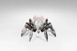 Spider