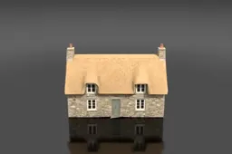 Small, single-story house with a thatched roof